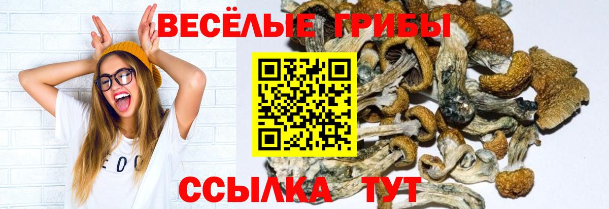 Псилоцибиновые грибы мухоморы Арзамас